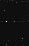 MTVZA-21.png